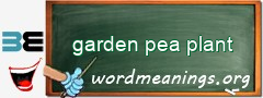 WordMeaning blackboard for garden pea plant